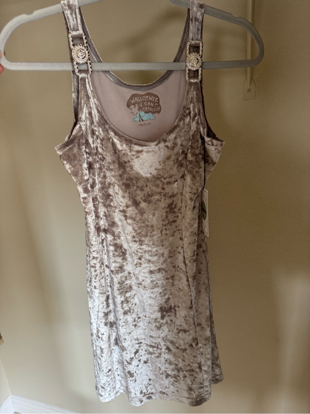 Wallflower Velvet Slip Dress - Taupe Silver Sheen
